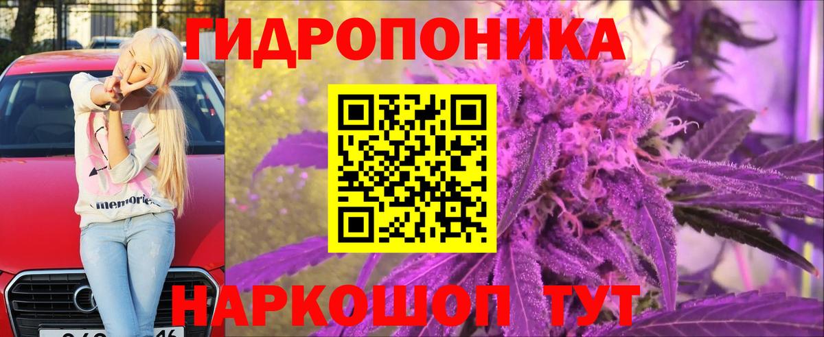 Канабис Bruce Banner Саяногорск